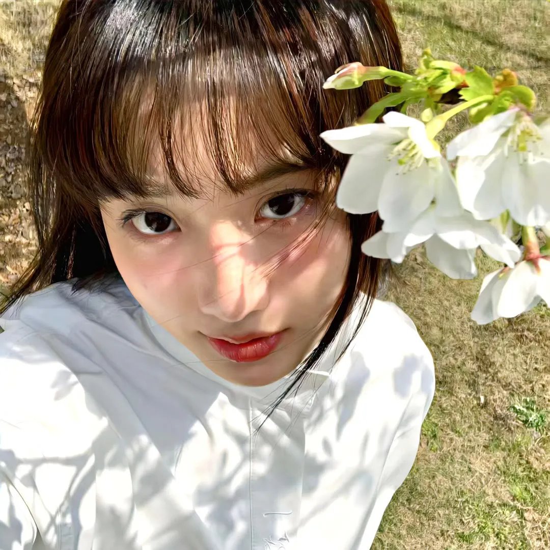 花田喜事粤语